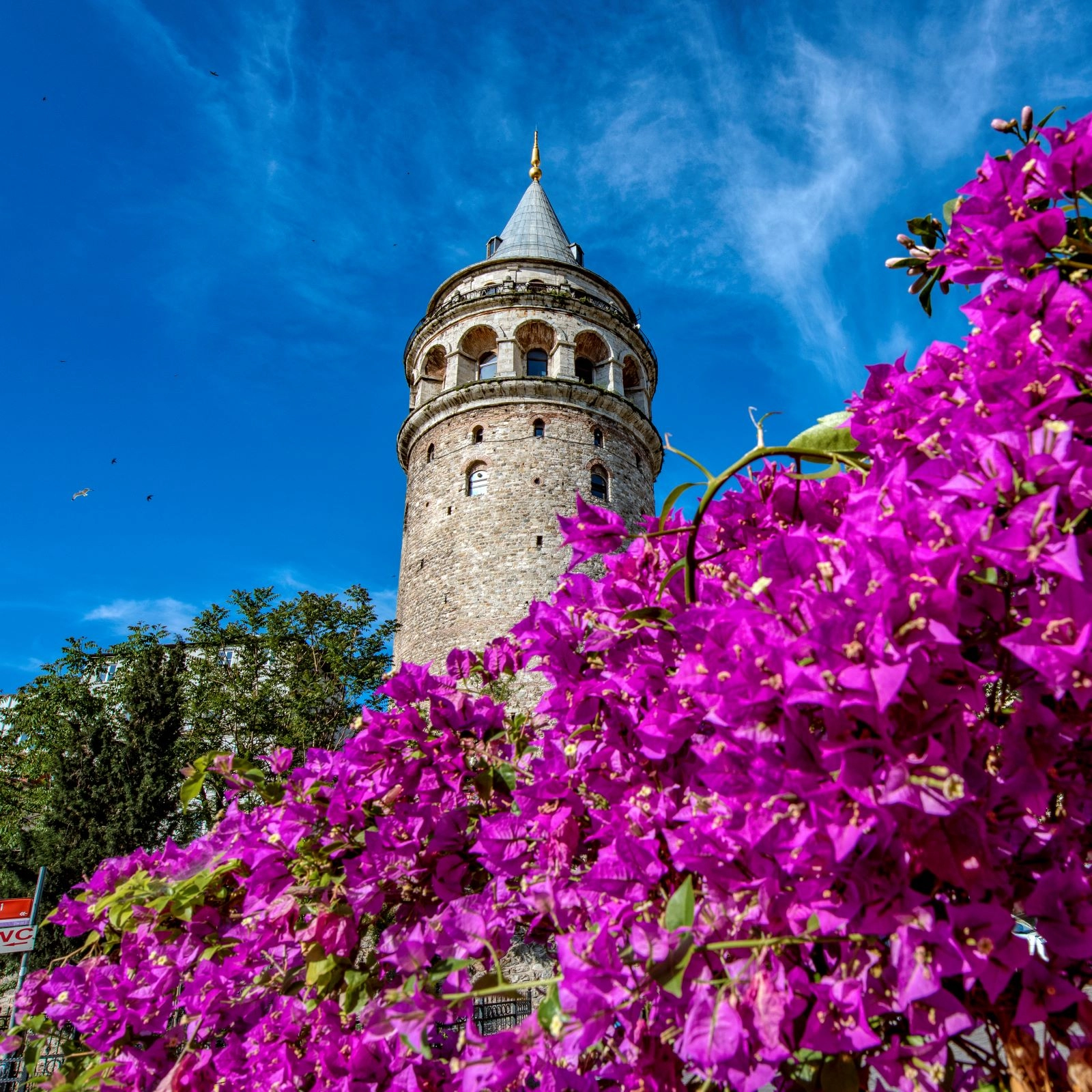 İstanbul Galata Tower in Spring